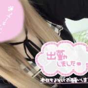 ヒメ日記 2026/10/18 16:06 投稿 ゆうな VIVID CREW Pink Party Paradise