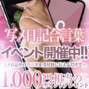 ヒメ日記 2026/10/28 10:01 投稿 つばき クラブレア南大阪