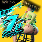 ★猫宮うみ★ 初出勤まであと７日📣 CLUB39（クラブサンキュー）