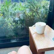 なつめ 優雅に🎶 アリスカフェ
