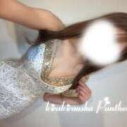 ヒメ日記 2026/10/20 12:47 投稿 女豹【パンサー】 キラキラ大阪