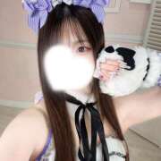 ヒメ日記 2026/10/25 14:36 投稿 サクラコ 姫路ラビット