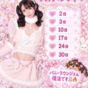 ヒメ日記 2026/10/22 21:01 投稿 つきの JAPAN CLUB BUNNY LOUNGE