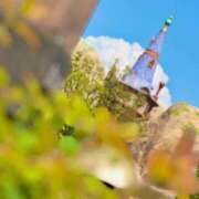 ヒメ日記 2026/04/03 13:41 投稿 いおり 千葉サンキュー