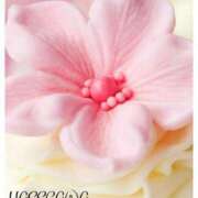 ヒメ日記 2024/12/16 10:22 投稿 長谷川 即プレイ専門店 変態人妻サークル 古川店