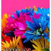 ヒメ日記 2025/02/05 09:51 投稿 長谷川 即プレイ専門店 変態人妻サークル 古川店