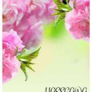 ヒメ日記 2025/02/26 14:35 投稿 長谷川 即プレイ専門店 変態人妻サークル 古川店