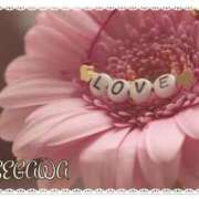 ヒメ日記 2025/04/11 17:25 投稿 長谷川 即プレイ専門店 変態人妻サークル 古川店