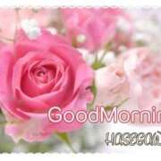 ヒメ日記 2025/05/09 06:45 投稿 長谷川 即プレイ専門店 変態人妻サークル 古川店