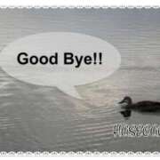 ヒメ日記 2025/05/10 16:25 投稿 長谷川 即プレイ専門店 変態人妻サークル 古川店