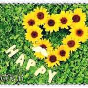 ヒメ日記 2025/06/01 06:45 投稿 長谷川 即プレイ専門店 変態人妻サークル 古川店