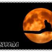 ヒメ日記 2025/06/15 18:15 投稿 長谷川 即プレイ専門店 変態人妻サークル 古川店