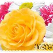 ヒメ日記 2025/06/30 16:25 投稿 長谷川 即プレイ専門店 変態人妻サークル 古川店