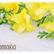 ヒメ日記 2025/07/27 16:55 投稿 長谷川 即プレイ専門店 変態人妻サークル 古川店