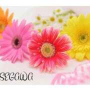 ヒメ日記 2025/07/28 10:15 投稿 長谷川 即プレイ専門店 変態人妻サークル 古川店