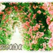 ヒメ日記 2025/09/14 10:05 投稿 長谷川 即プレイ専門店 変態人妻サークル 古川店