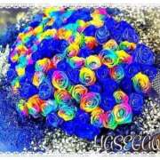 ヒメ日記 2025/09/17 17:05 投稿 長谷川 即プレイ専門店 変態人妻サークル 古川店