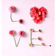 ヒメ日記 2025/10/26 18:25 投稿 長谷川 即プレイ専門店 変態人妻サークル 古川店