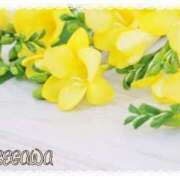 ヒメ日記 2026/02/13 10:35 投稿 長谷川 即プレイ専門店 変態人妻サークル 古川店