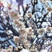 ヒメ日記 2025/03/02 22:19 投稿 優奈(ゆな) 相模原人妻城