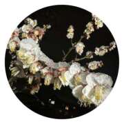 ヒメ日記 2025/03/05 00:03 投稿 優奈(ゆな) 相模原人妻城