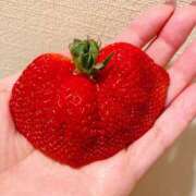 ヒメ日記 2025/03/02 14:46 投稿 ななみ ギャルズネットワーク神戸