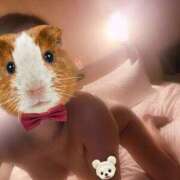 ヒメ日記 2025/03/07 01:26 投稿 ななみ ギャルズネットワーク神戸