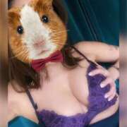 ヒメ日記 2025/03/16 00:36 投稿 ななみ ギャルズネットワーク神戸