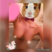 ヒメ日記 2025/03/16 23:48 投稿 ななみ ギャルズネットワーク神戸