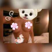 ヒメ日記 2025/04/28 02:42 投稿 ななみ ギャルズネットワーク神戸