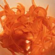 ヒメ日記 2025/07/06 20:06 投稿 ななみ ギャルズネットワーク神戸