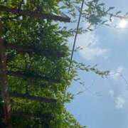 ヒメ日記 2025/07/17 23:28 投稿 ななみ ギャルズネットワーク神戸