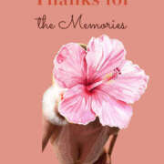 ヒメ日記 2025/08/02 02:16 投稿 ななみ ギャルズネットワーク神戸