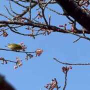 ヒメ日記 2025/02/27 11:47 投稿 アン 品川ハイブリッドマッサージ