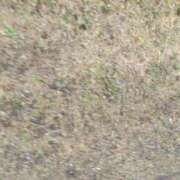 ヒメ日記 2025/03/25 07:58 投稿 アン 品川ハイブリッドマッサージ