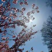 ヒメ日記 2025/03/27 08:28 投稿 アン 品川ハイブリッドマッサージ