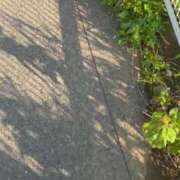 ヒメ日記 2025/04/09 07:18 投稿 アン 品川ハイブリッドマッサージ