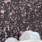 ヒメ日記 2025/04/11 13:38 投稿 アン 品川ハイブリッドマッサージ