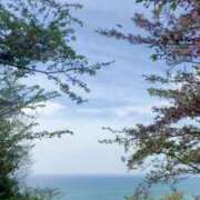 ヒメ日記 2025/04/21 12:58 投稿 アン 品川ハイブリッドマッサージ