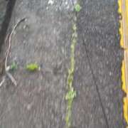 ヒメ日記 2025/04/21 18:38 投稿 アン 品川ハイブリッドマッサージ