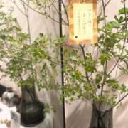 ヒメ日記 2025/07/07 18:28 投稿 アン 品川ハイブリッドマッサージ