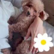 ヒメ日記 2025/07/26 15:58 投稿 アン 品川ハイブリッドマッサージ