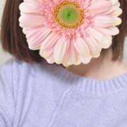 ヒメ日記 2024/12/29 11:58 投稿 西野なみ 恋する妻たち