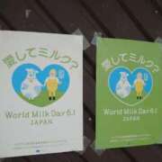 ヒメ日記 2024/06/05 14:56 投稿 福入 熟女の風俗最終章 横浜本店