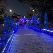 ヒメ日記 2024/12/26 17:04 投稿 福入 熟女の風俗最終章 横浜本店