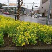 ヒメ日記 2025/02/12 11:47 投稿 福入 熟女の風俗最終章 横浜本店