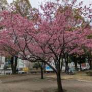 ヒメ日記 2025/03/06 14:05 投稿 福入 熟女の風俗最終章 横浜本店