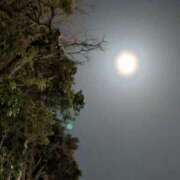 ヒメ日記 2025/03/15 18:32 投稿 福入 熟女の風俗最終章 横浜本店