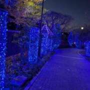 ヒメ日記 2025/03/20 13:11 投稿 福入 熟女の風俗最終章 横浜本店