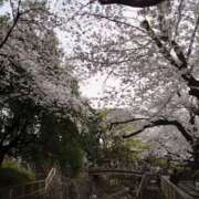 ヒメ日記 2025/03/24 15:40 投稿 福入 熟女の風俗最終章 横浜本店